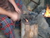 DSC00498.jpg